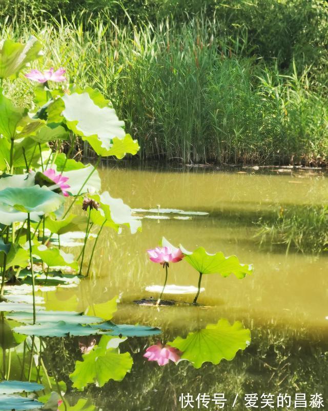 画堂|每日一词《踏莎行》赏析