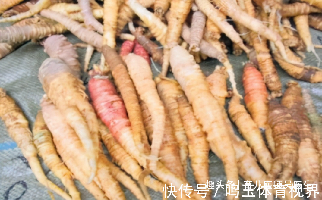 女性|聪明女性养生,吃养生食物,调理肠胃,健脾开胃,滋养身心