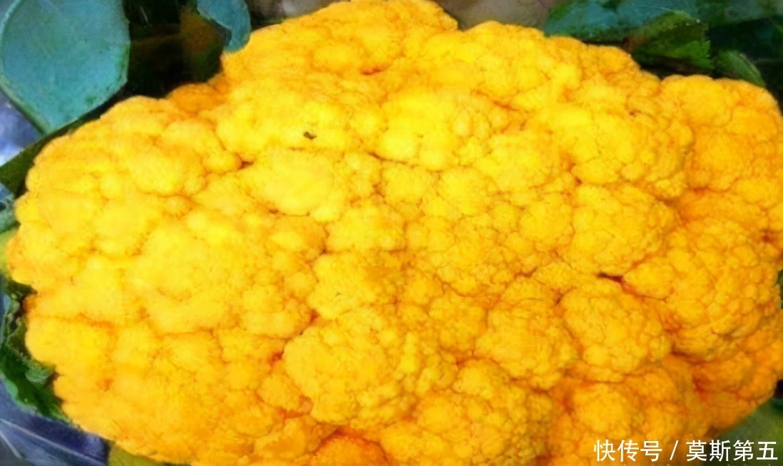 美容养颜|适合女性吃的3种食物,美容养颜、延缓