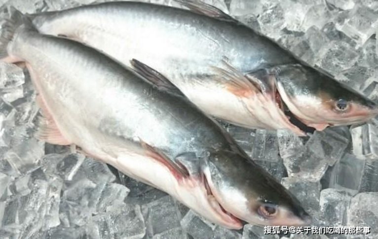 巴沙鱼|超市9.9元1斤的“龙利鱼”，鲜嫩细腻还无刺，为何内部员工不买？
