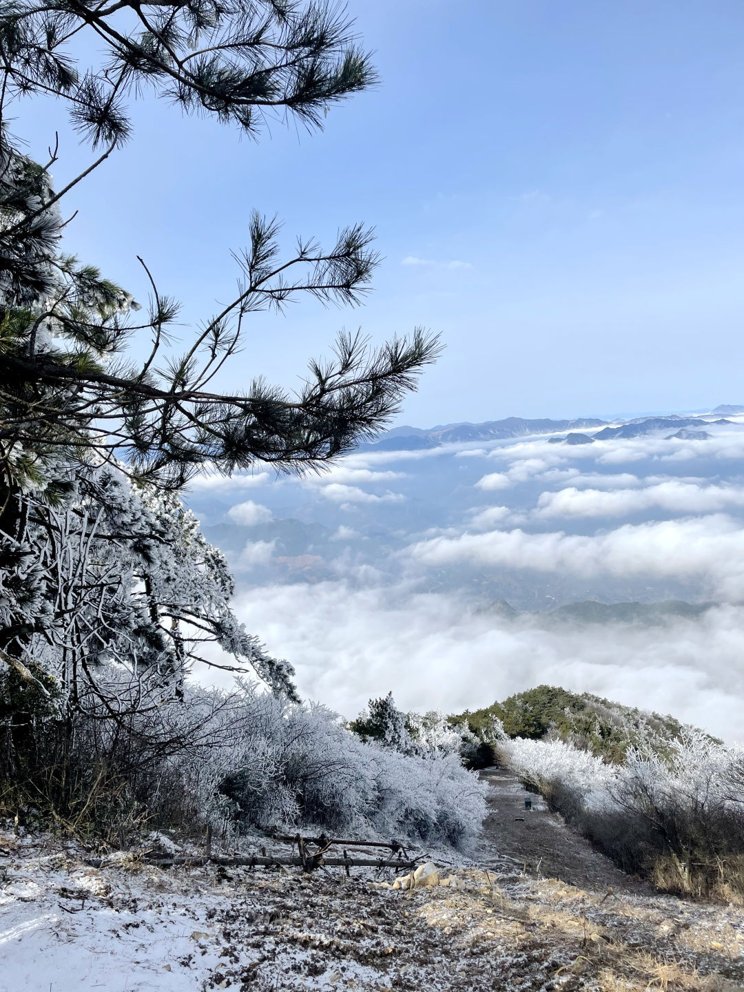 雾凇|景宁敕木山顶雾凇美 新年登高步步高