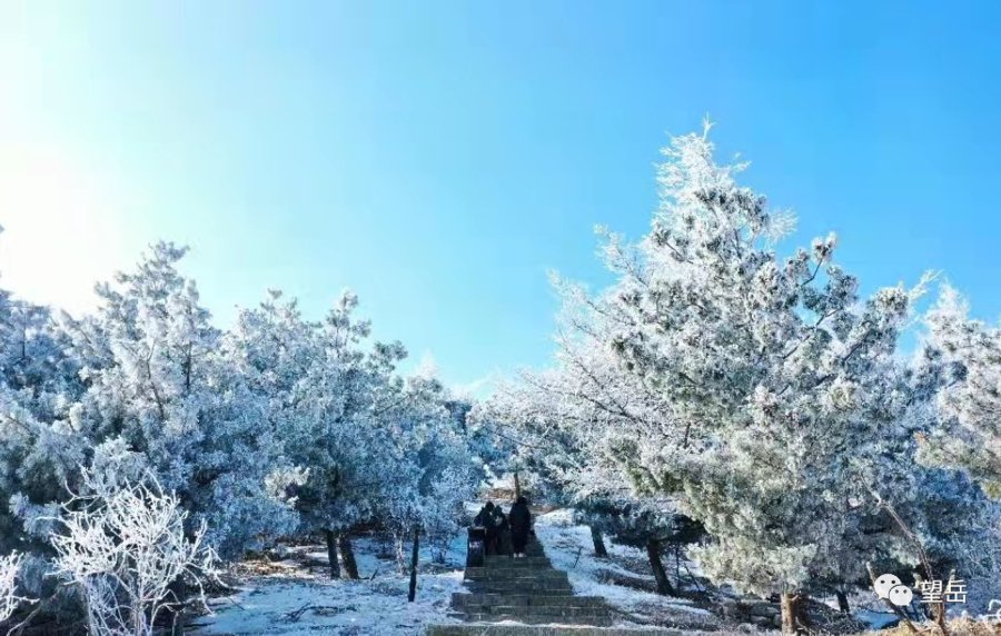 泰山|壹图集丨泰山之上，雕栏玉砌！大片雾凇蔓延岱顶宛如童话世界