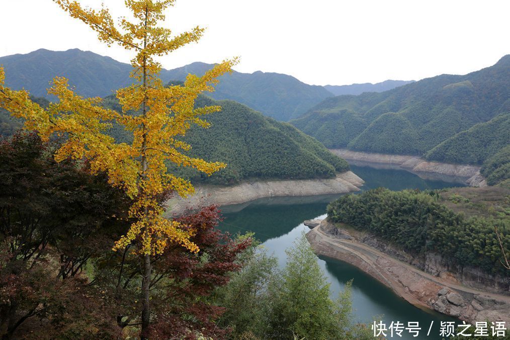 四明山赏秋胜地，茅镬秋色，至今游历25次