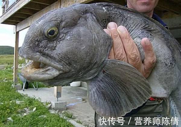 好处|常吃鱼肉,5个好处让人惊喜!有3类鱼不适合吃,要远离!