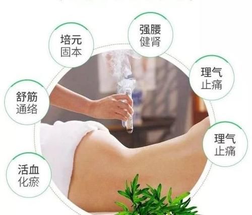 艾草的另类用途，你知道多少？