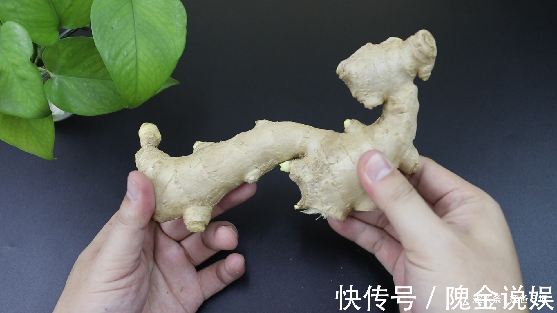 这样的生姜不能买，还好菜贩子告知，早知早受益