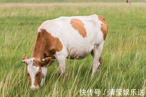 吃喝|1973年出生的“牛牛”，一定要守住“两大贵人”，晚年吃喝不愁！