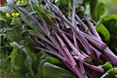 养生|女性养生，常吃四种食物，润肠通便，排毒养颜，增强体质