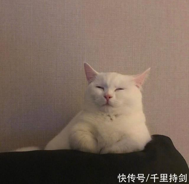 杨绛$钱钟书为何对林徽因不满,频频找她麻烦杨绛都劝不住