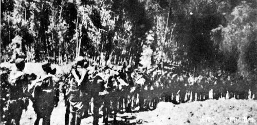 队司令员|抗战中除了打击日寇还要干什么最重要就是清除根据地的铁杆汉奸