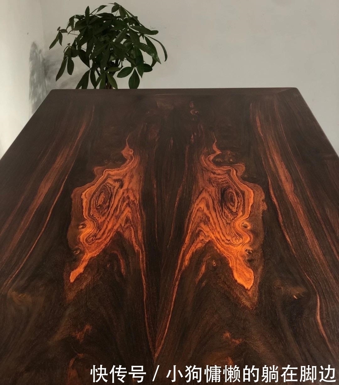 实用|她家47㎡新房，全屋精心设计，很实用，能满足一家三口幸福生活!