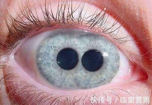 少妇$聊斋·瞳人语:重瞳人的诞生