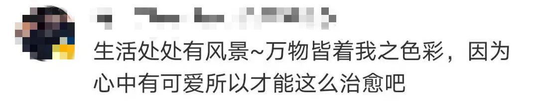 全国|火上热搜！武汉这些奇妙街景被全国网友点赞：太有趣了