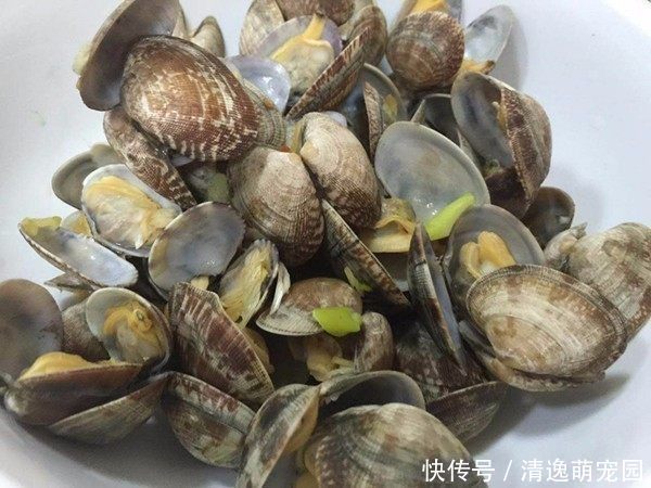 儿媳妇|夫妻回农村老家,父母准备一大桌菜,媳妇吃两口就不想吃了