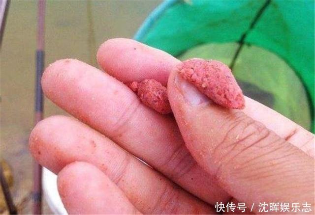 水体|夏季是钓鲤鱼的好时节，用饵技巧值得关注，爱钓鱼的你别错过