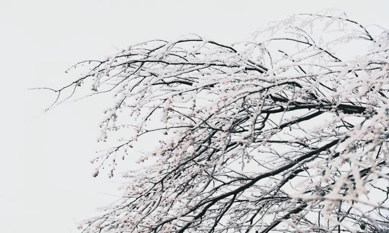 打卡|美翻了！贵阳云雾“冰雪世界”成网红打卡地