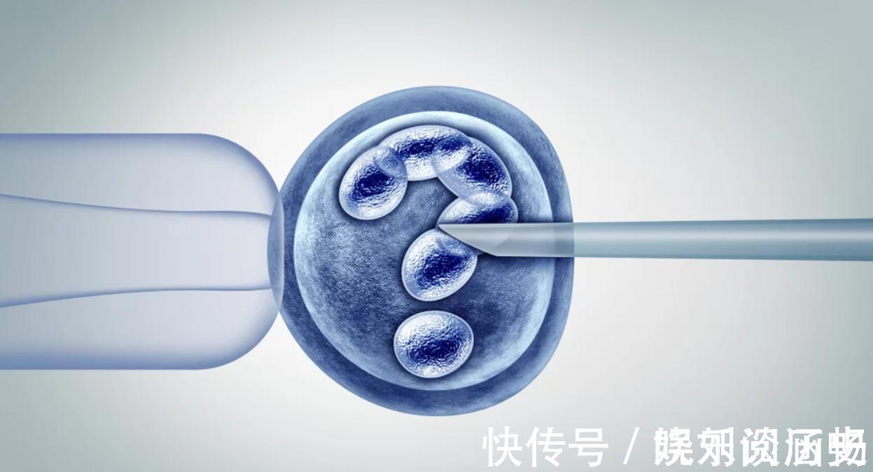 叶琳|为什么有些人不主张做“试管婴儿”?这3大内幕只有经历过才知道