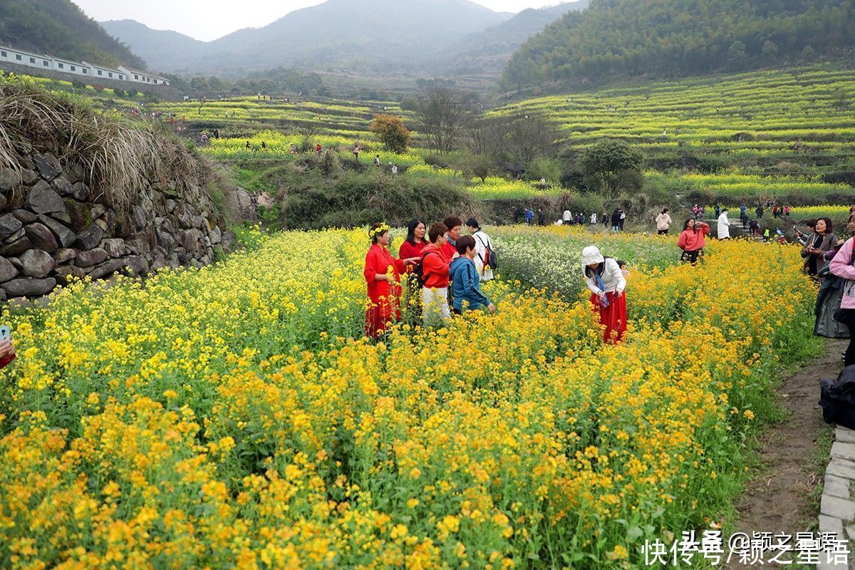 千年梯田花海，美得震撼，免费欣赏