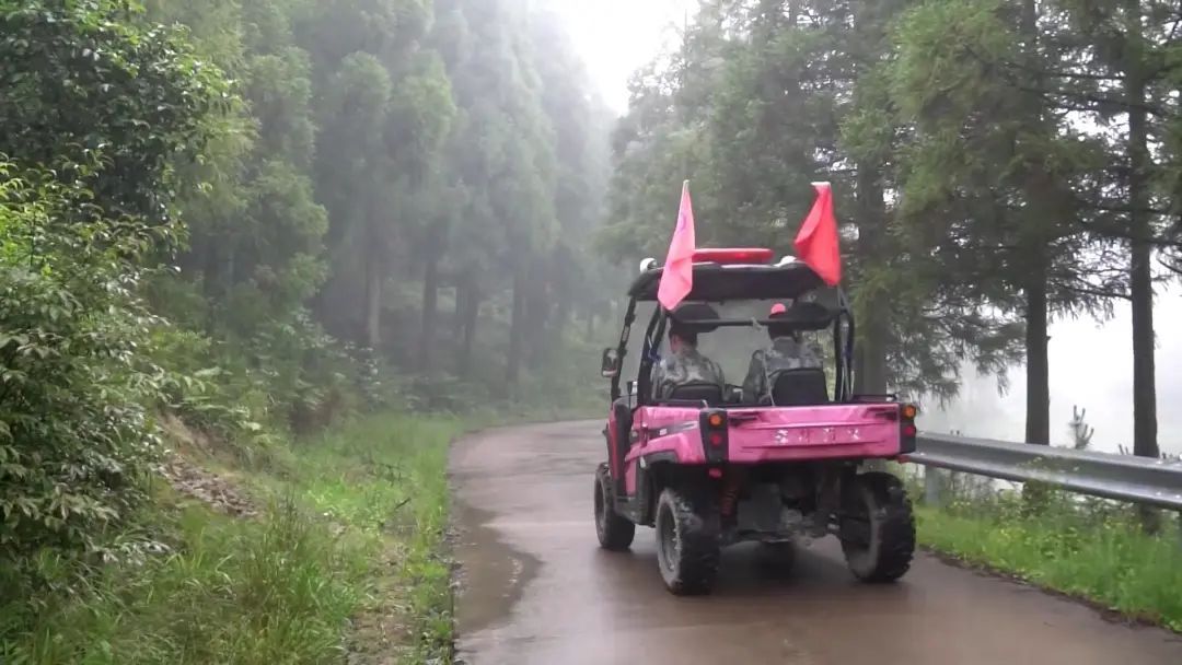 李锦华|李锦华：三十年逐梦为青山