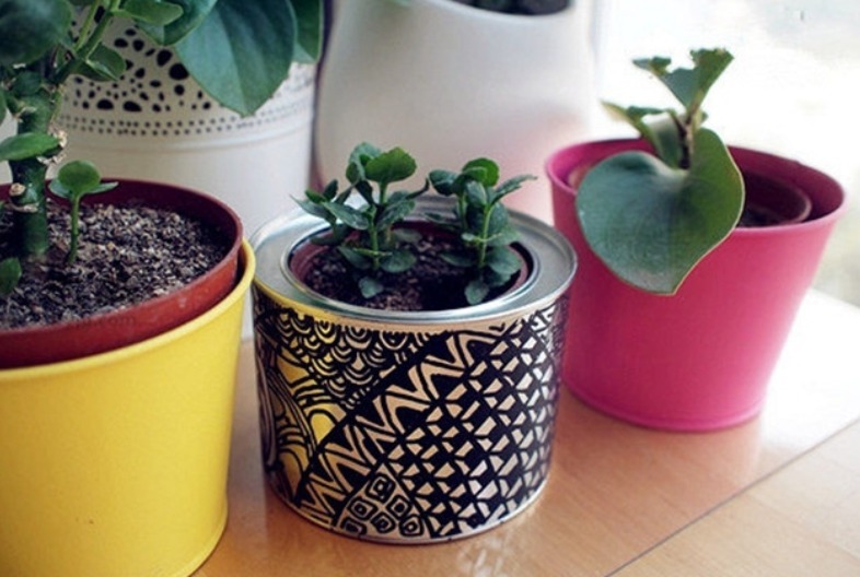 植物|别把铁罐子扔了、卖了,钻孔养花,植物长得好,越看越讨喜