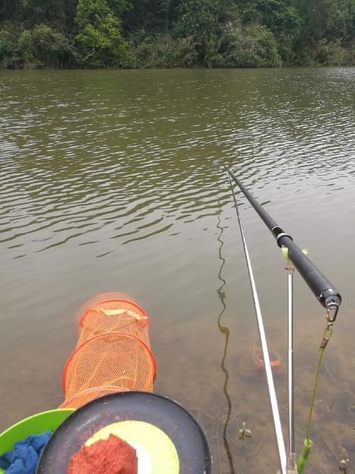 爆护|六陈水库开光新鱼护,崇尚不以爆护秀钓技