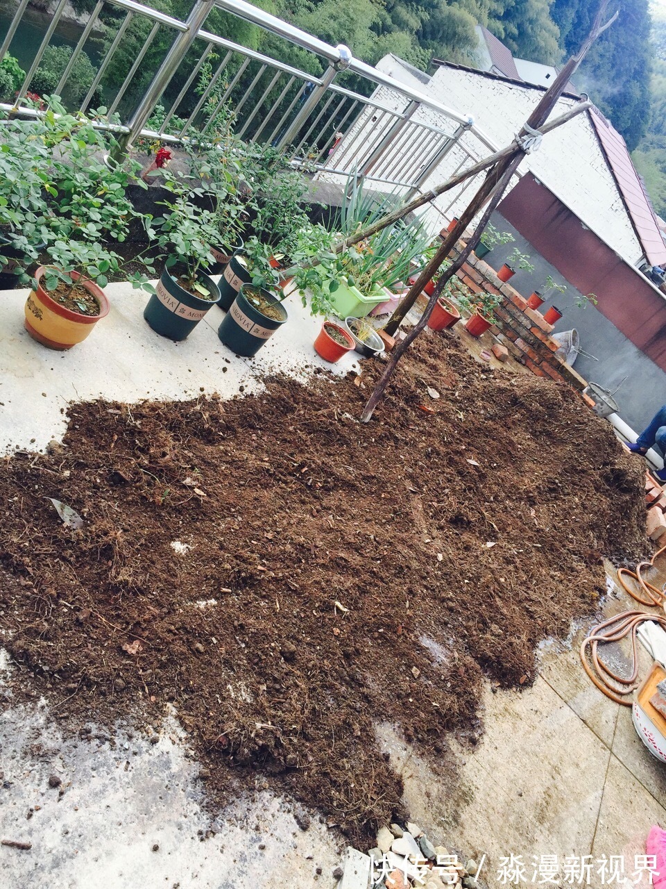 花卉|养花土“别买”，出门挖“2桶”，花卉不烂根、不黄叶，根粗叶绿