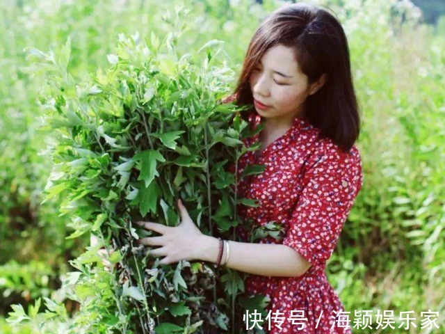 治療|“七年之病，求三年之艾”別理解錯了，用對艾葉也能通十二經絡
