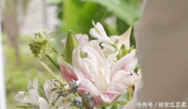 曾融资过10亿,今一地鸡毛!小清新限制了