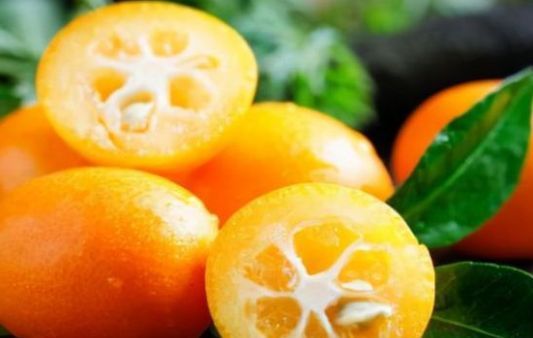 腰果|孩子身体差整天都怕冷,准备好3种鸿运果,寓意红红火火喜迎新春