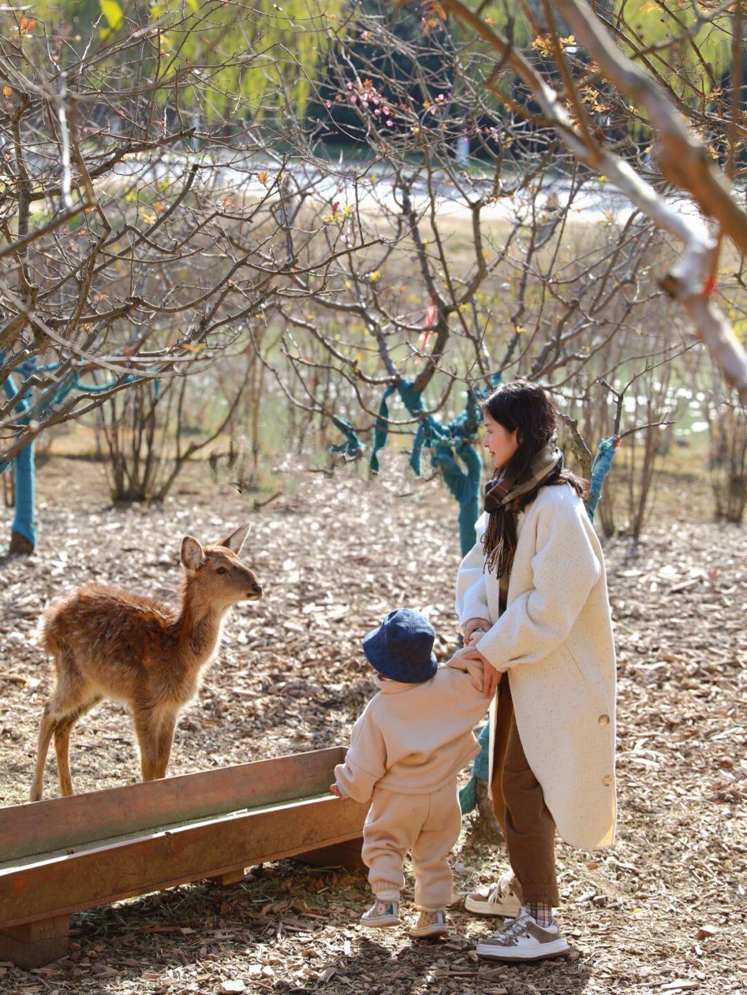 在职场|冬季穿衣没灵感?掌握时髦精们的这些大衣穿法,出街赚够回头率