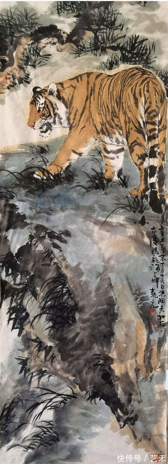 美展&刘金凯画虎