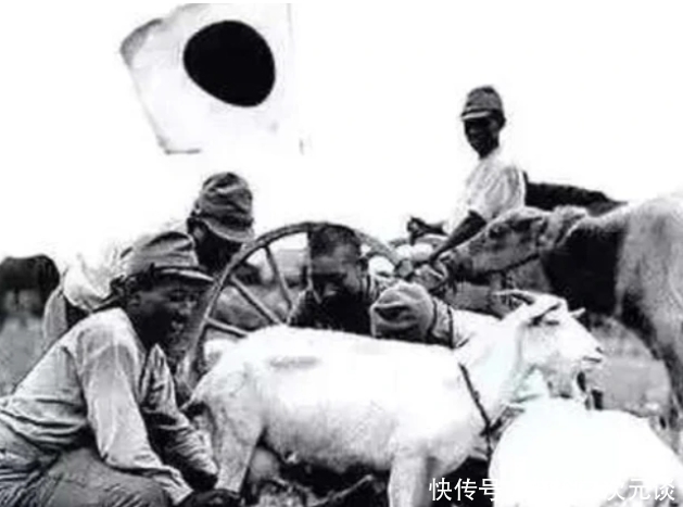 顿顿|二战时日军顿顿都能吃肉,肉从哪里来?难怪电视剧从来不演