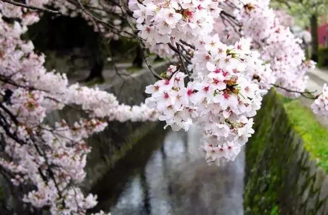 成就|王阳明训子家书,大智慧成就大人生