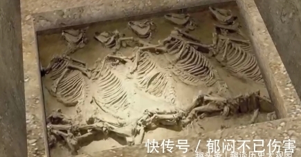 道家$太清宫考古发现“多人殉葬”大墓,疑似道家创始人“老子之墓”!