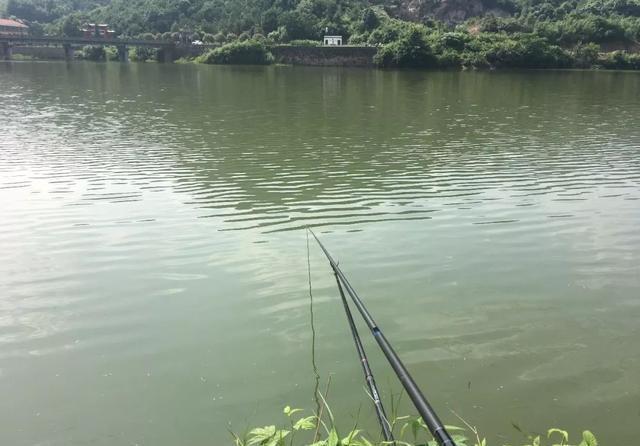 调漂|学钓鲢鳙从这篇文章开始,调漂、开饵、抓口都给你讲明白