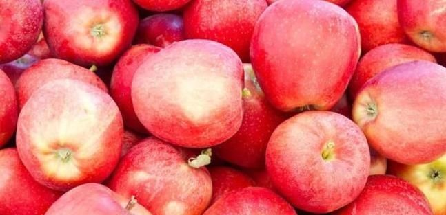 色氨酸|苹果与此物同煮,大肚腩没了,睡眠好了,女性不想满脸皱纹可试试