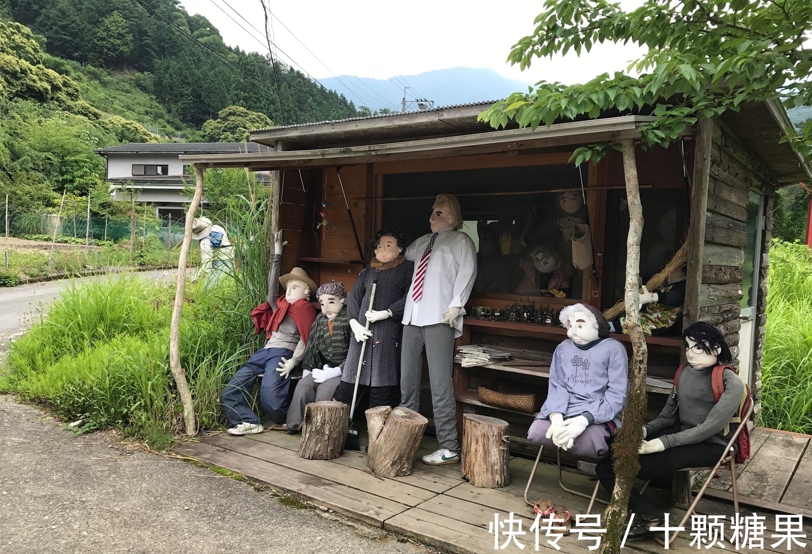 旅游胜地|用娃娃代替死者的村子：娃娃是村民的10倍，相当惊悚却成旅游胜地