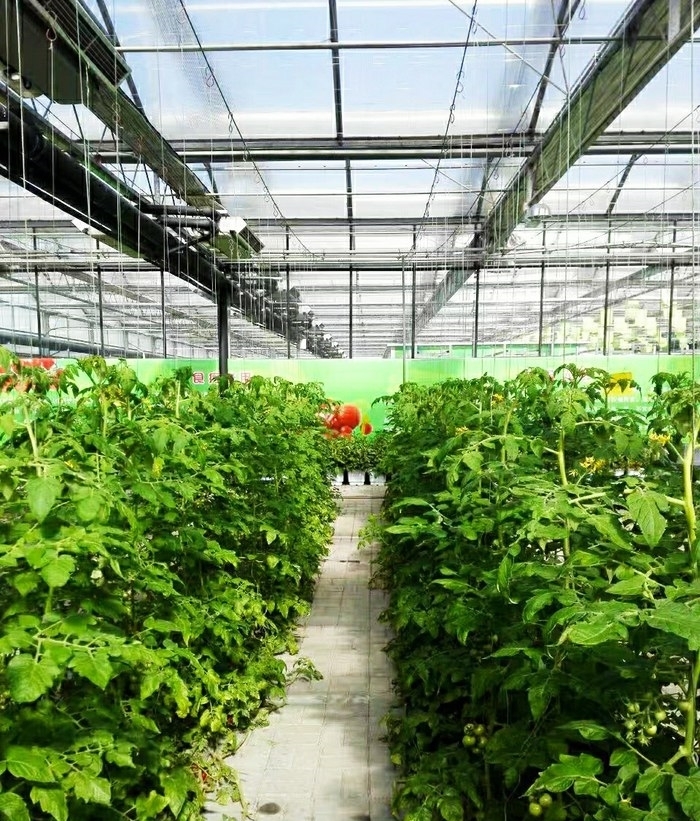 蔬果|宋MAX，感受一下蔬果城堡的寧靜，欣賞彩色的自然