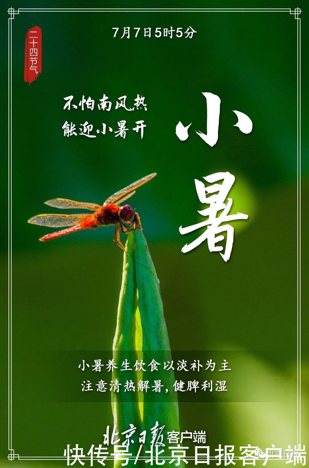 新米|小暑至，盛夏始！今起三天，北京热热热