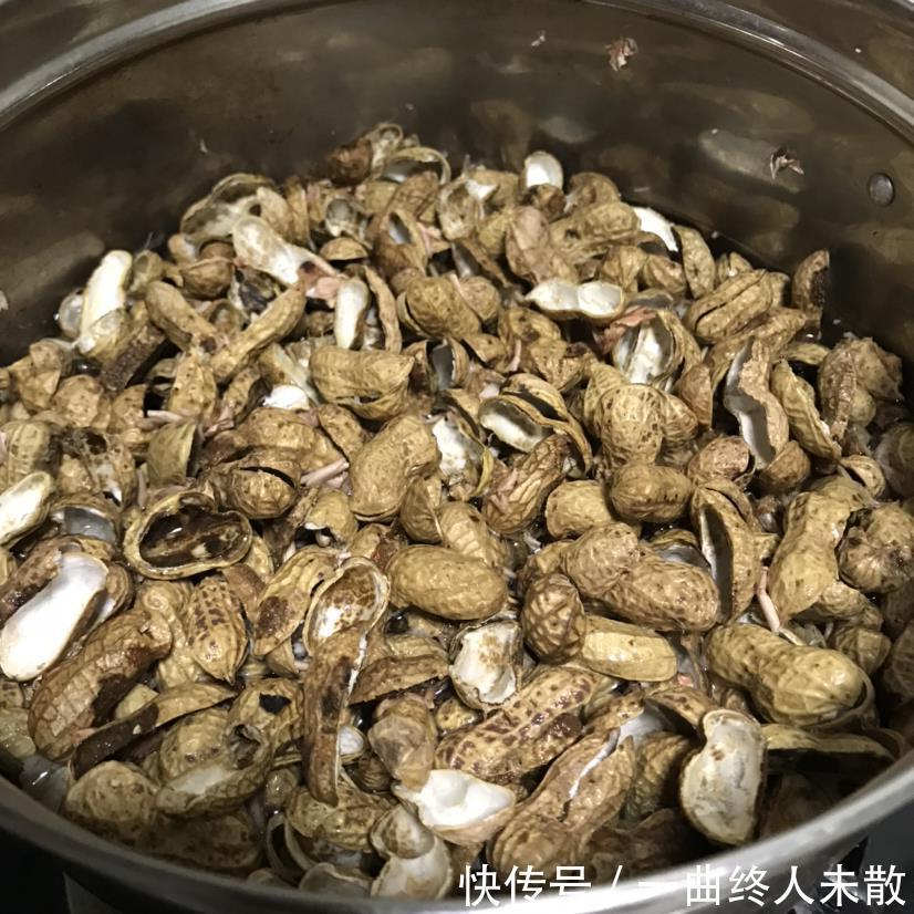 养花技巧1粒花生丢水里，比绿萝好看100倍，沤肥又能做菜