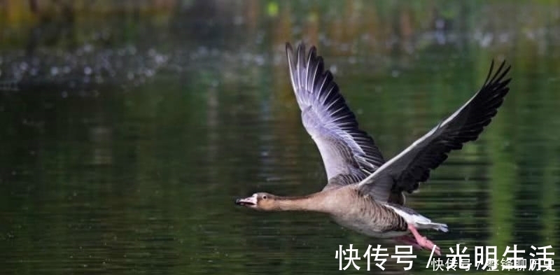 孤独$杜甫晚年一首表达孤独的诗,短短的几句,却把孤独描写得深入骨髓