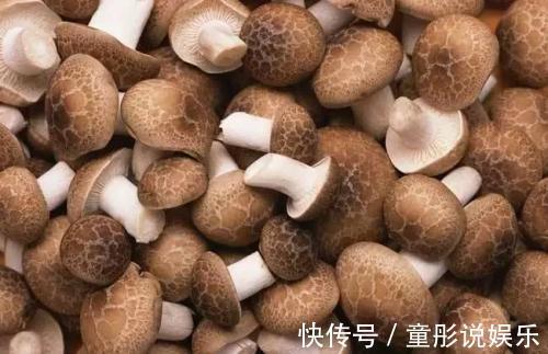 驴肉|香菇不能与此物一起食用，却有很多人还不清楚，看完告诉身边人