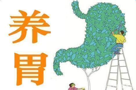 柴悦颖|消化科主任:养胃并不难,坚持做“2事”,远离胃问题,值得学习