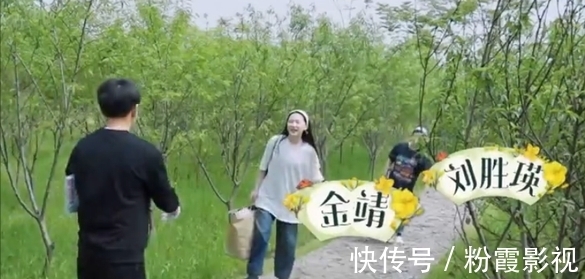 张子枫|《向往5》开播十一期，节目组请了8位女嘉宾，谁更受重视一目了然