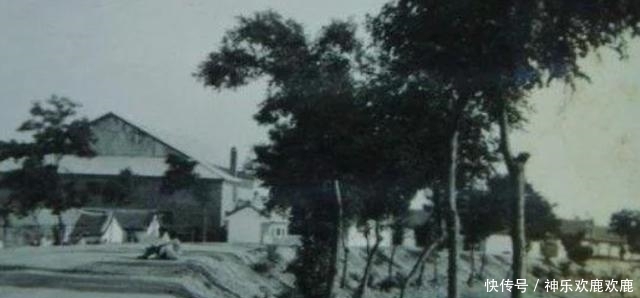 胡适|1962年,胡适先生溘然长逝,妻子抱怨:一辈子装得像个慈善家