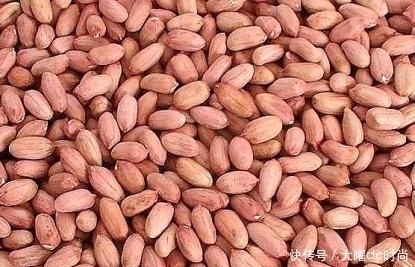 身体|每天吃一把花生,身体会发生很大的变化,但2类人得忌口