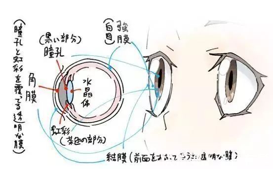 美少|【今日有学●插画】超详解!动漫美少女眼睛的画法,逐步拆解有手就会