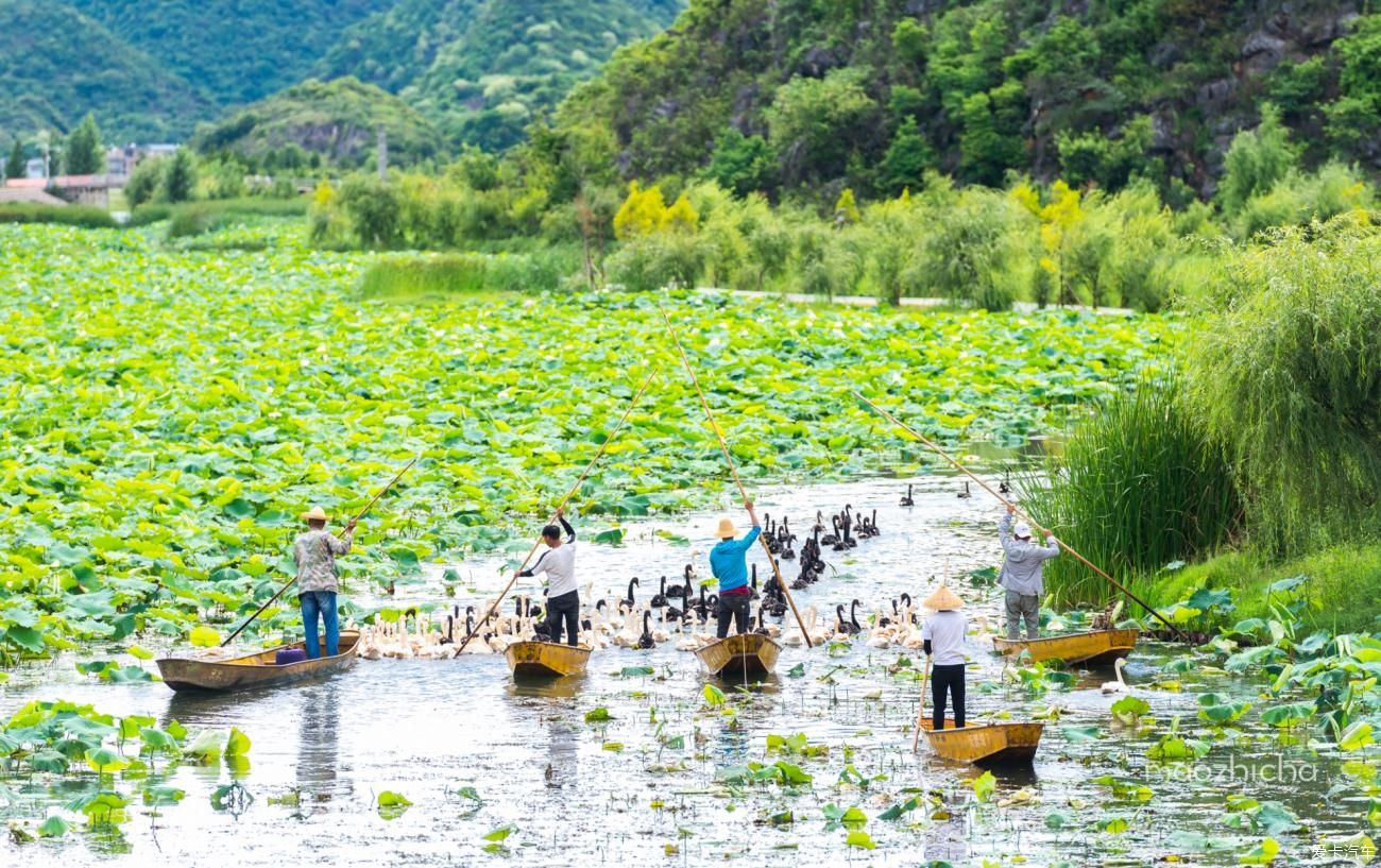 温泉水公园|遇见多彩滇东南，阳宗海、九乡、石林、普者黑自驾五日游