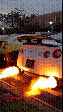 |搞笑GIF:这就是我想要的生活,面朝大海、春暖花开,伊人在怀…