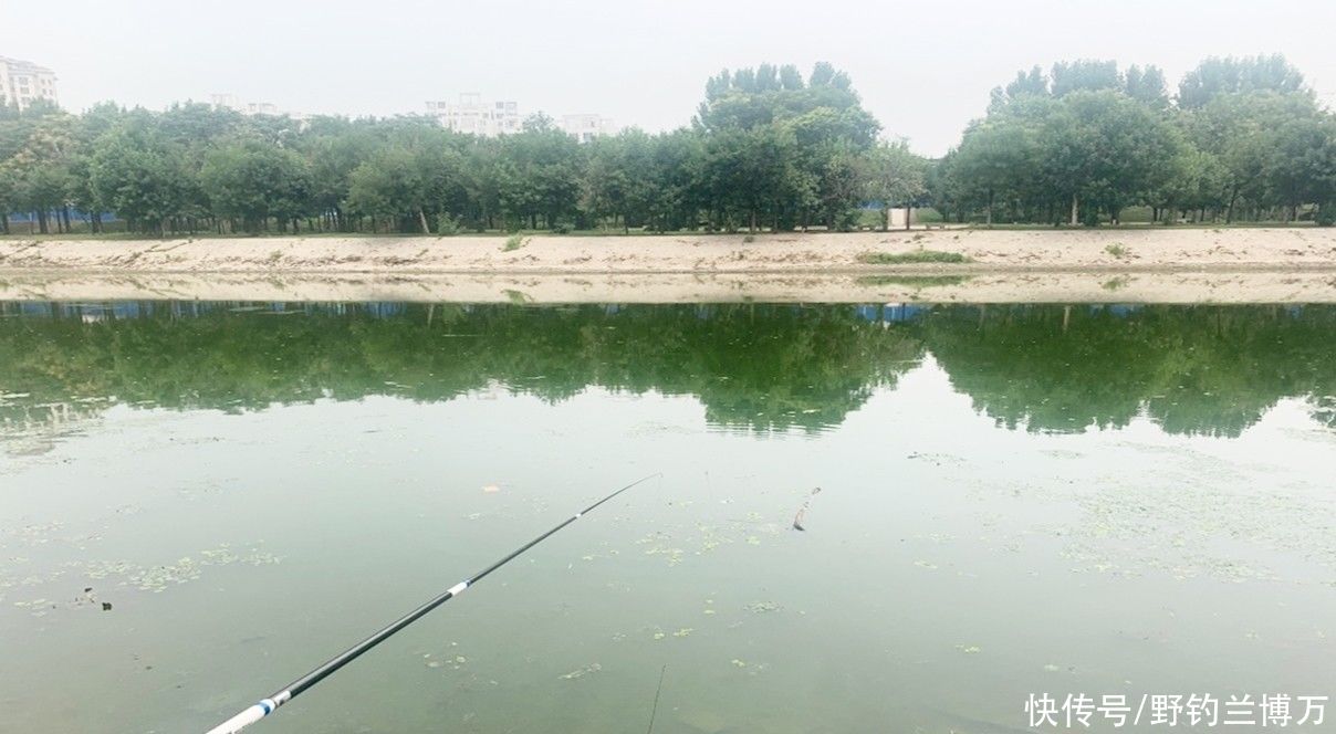 钓鱼除了可以钓到鱼外，还能“钓”到这几样东西